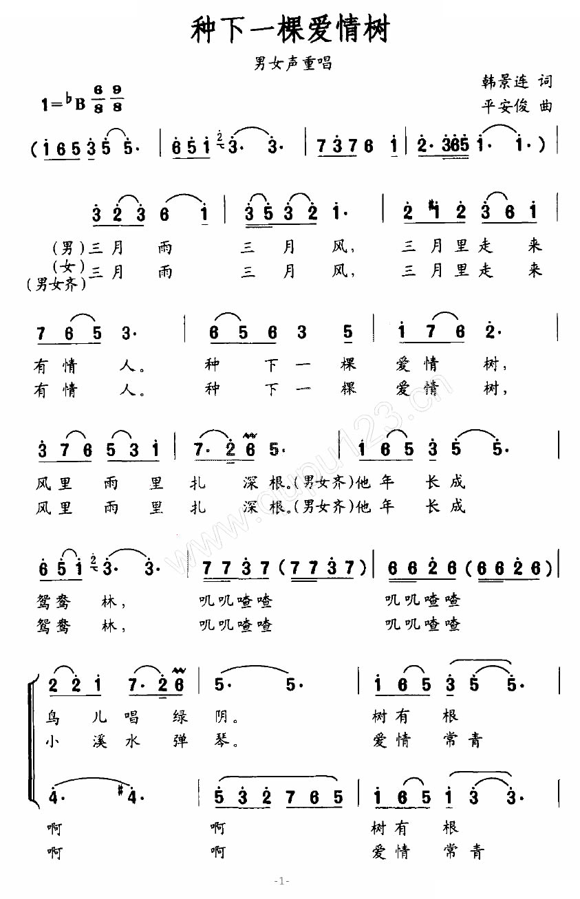 种下一棵爱情树