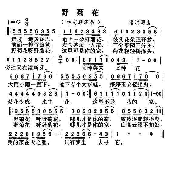 野菊花