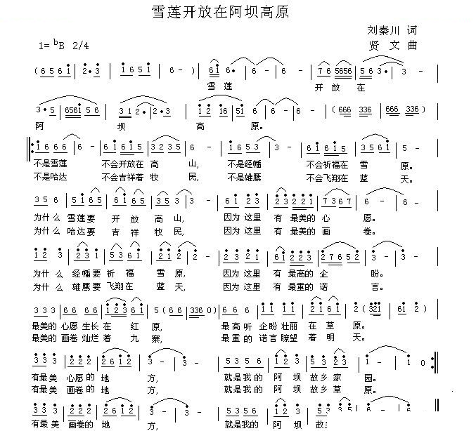 雪莲开放在阿坝高原