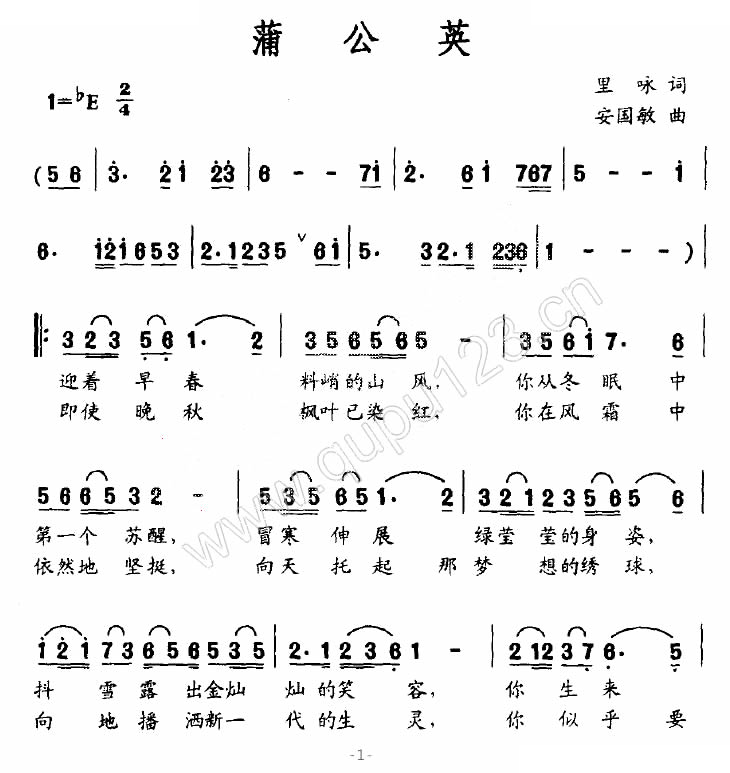 蒲公英