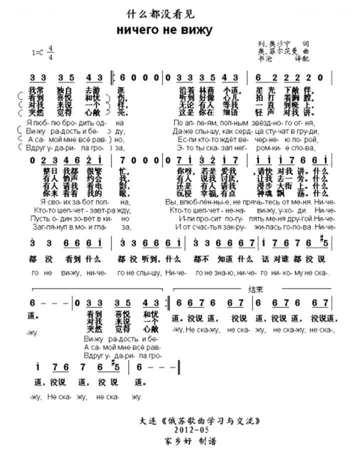 什么都没看见（中俄文对照）[俄]