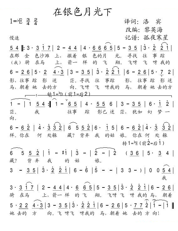 在银色月光下