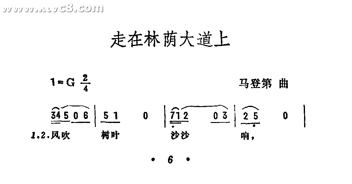 走在林荫大道上
