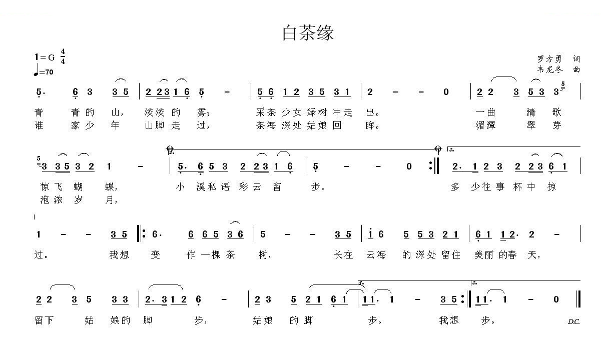 白茶缘
