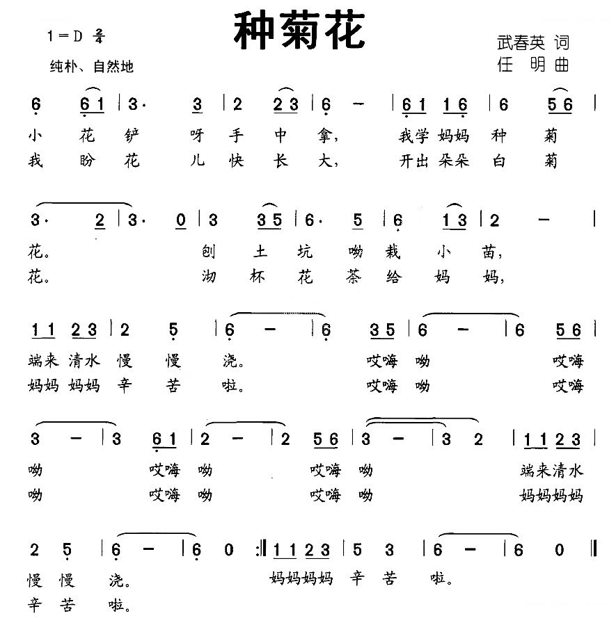 种菊花