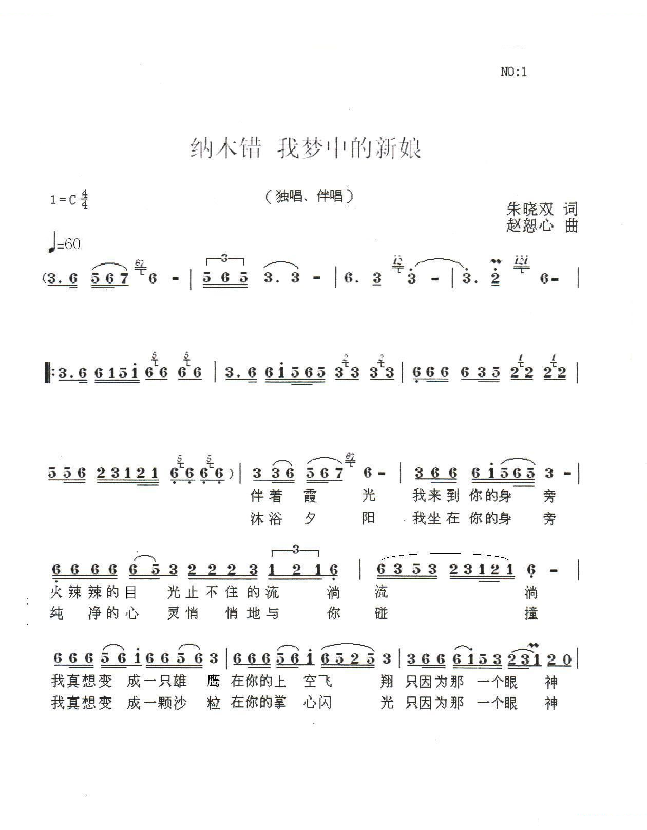 纳木错，我的新娘（朱晓双词 赵恕心曲）