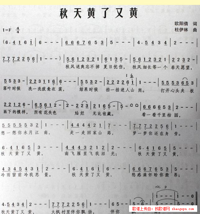 秋天黄了又黄