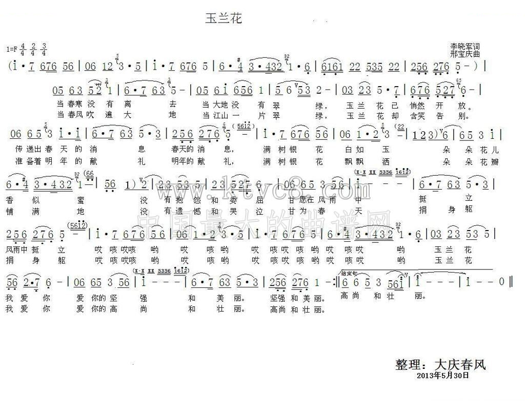 玉兰花 