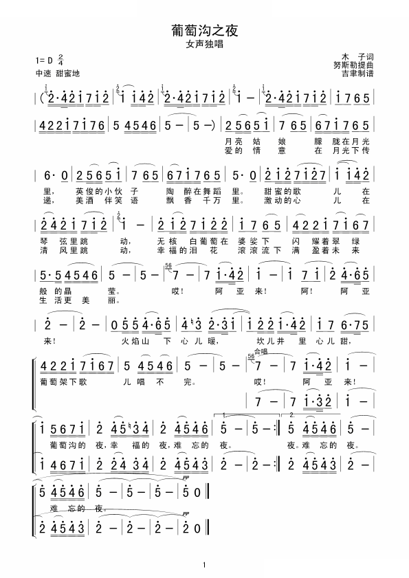 葡萄沟之夜