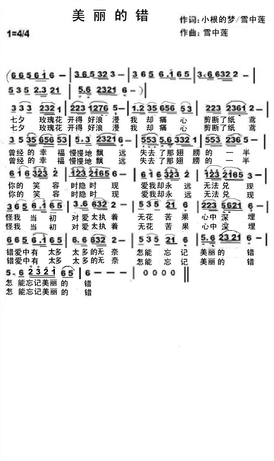 美丽的错