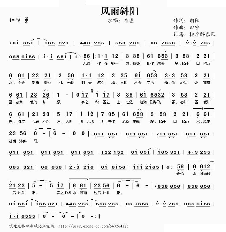 风雨斜阳 