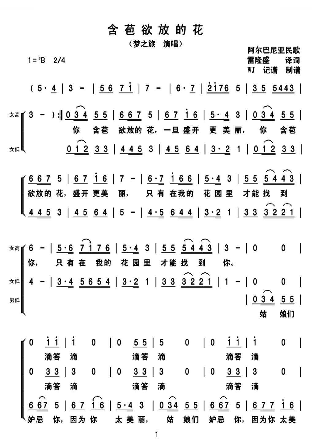 含苞欲放的花（梦之旅演唱）