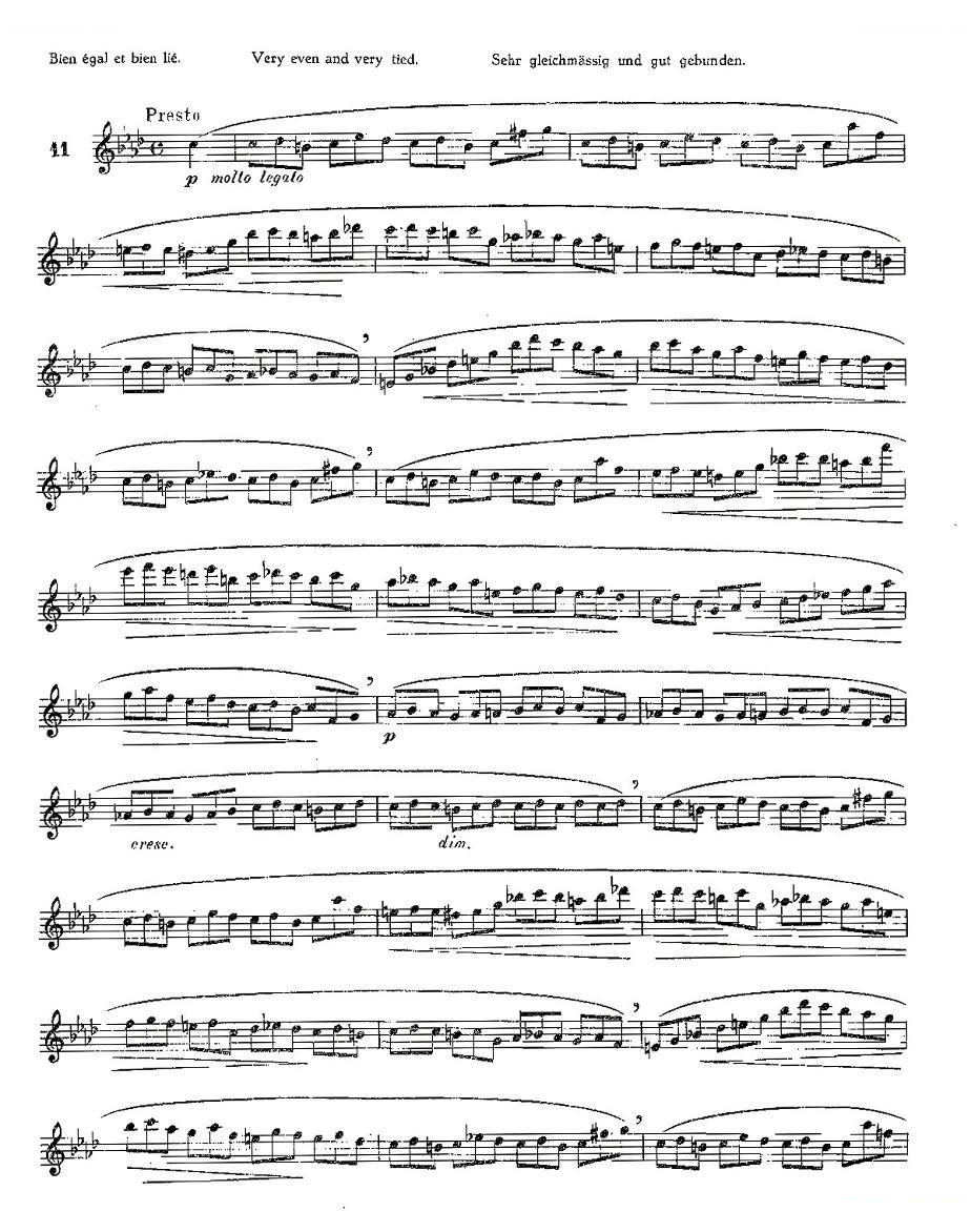 12首大技巧练习曲之11 