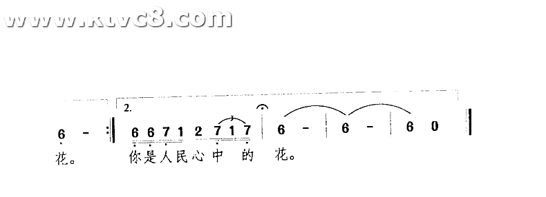 我爱绿城月季花
