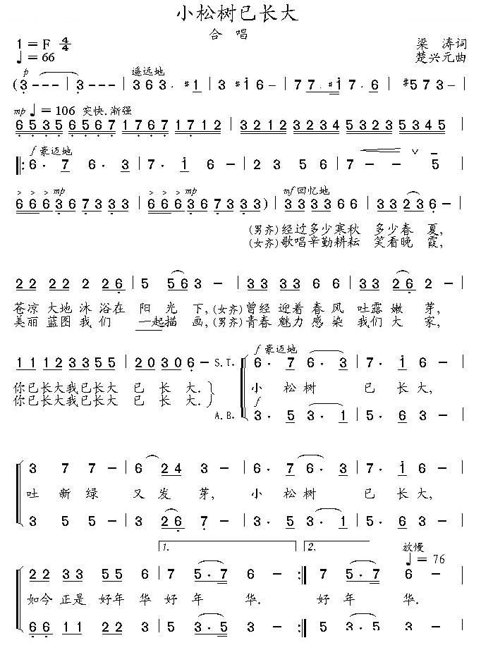 小松树已长大