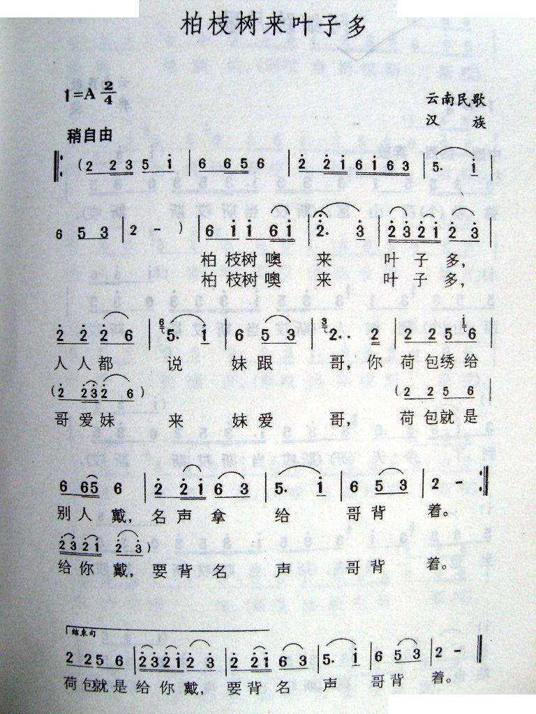 柏枝树来叶子多