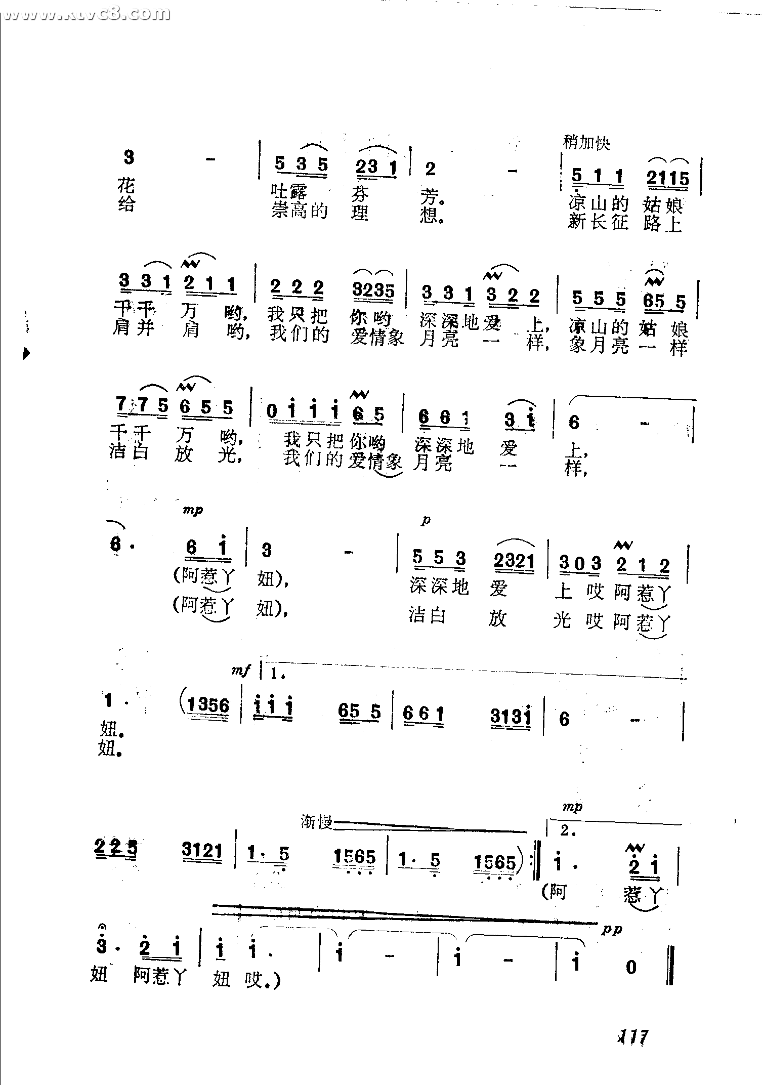凉山情歌