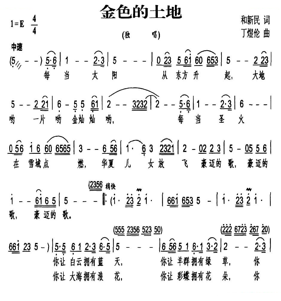 金色的土地