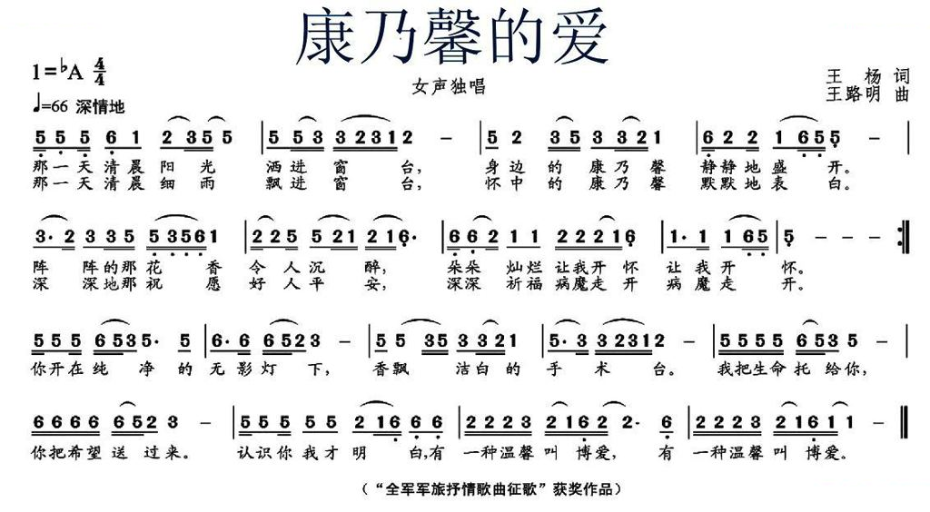 康乃馨的爱