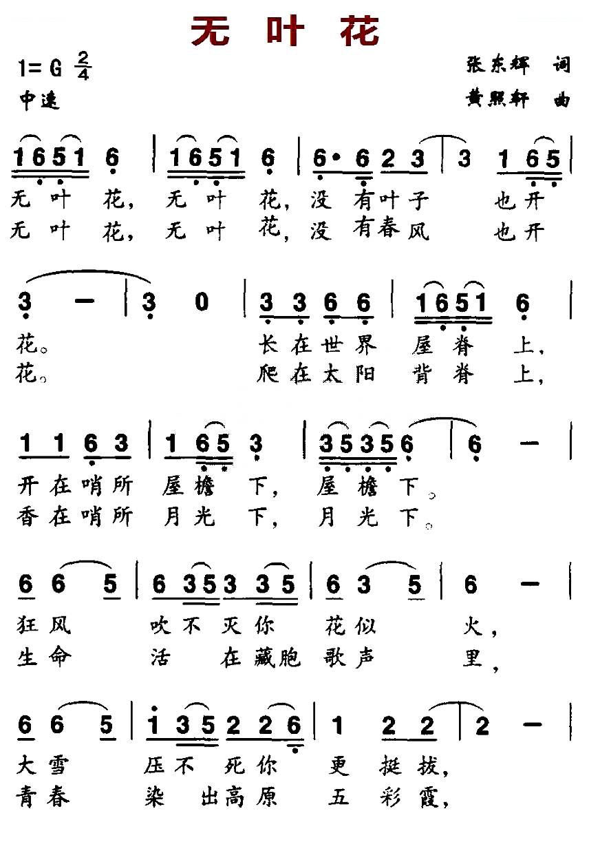 无叶花