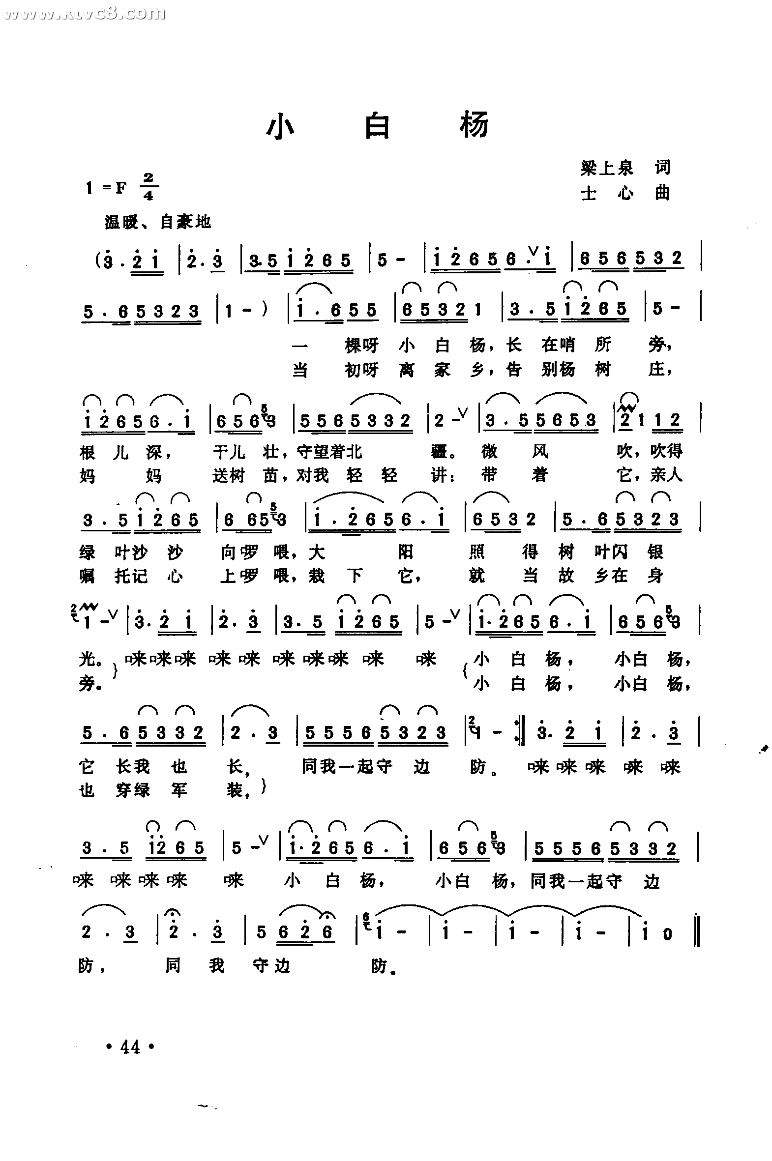 小白杨