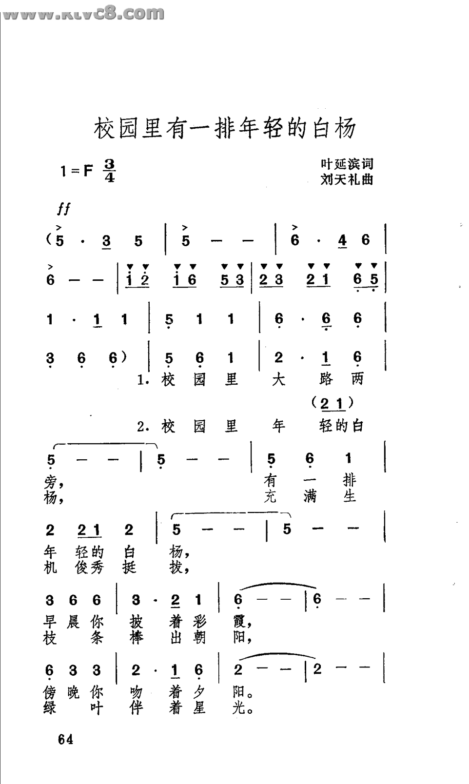 校园里有一排年轻的白杨