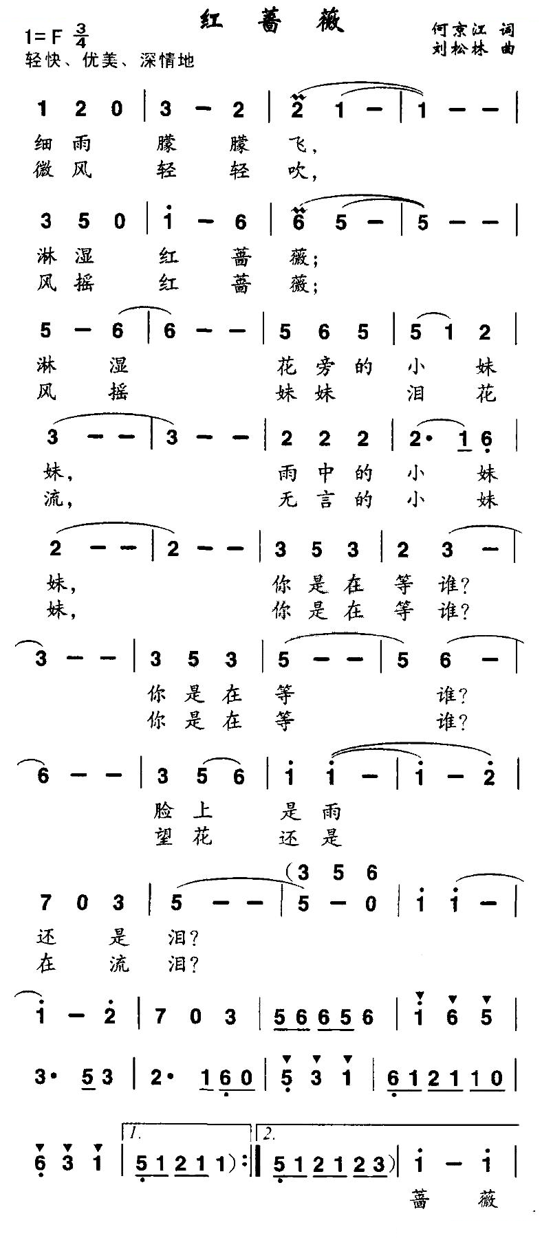 红蔷薇