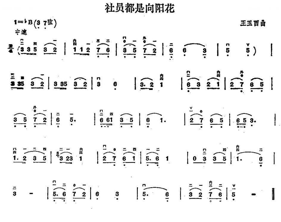 社员都是向阳花 