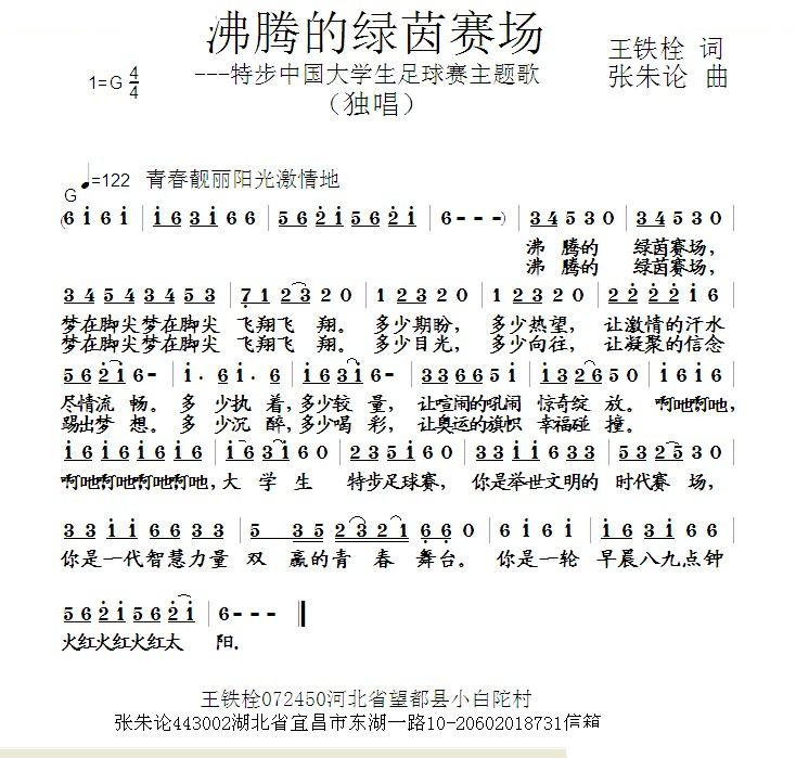 沸腾的绿茵赛场