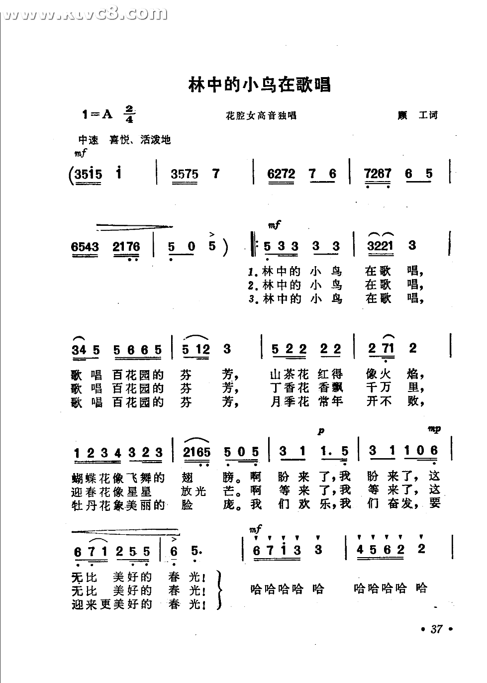 林中的小鸟在唱歌