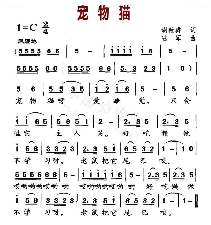 宠物猫