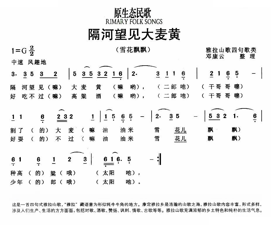 隔河望见大麦黄（又名：雪花飘飘）（原生态民歌）