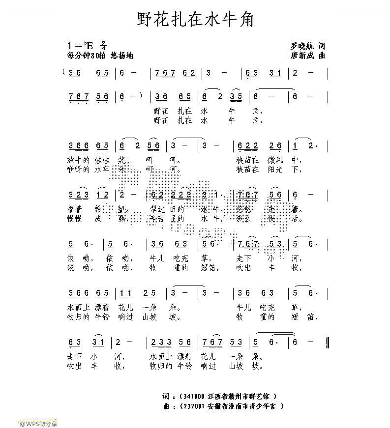 野花扎在水牛角