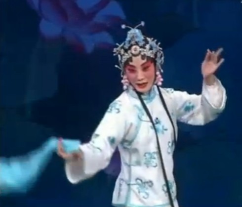 鸳鸯冢--蓦然间脸绯红芳心暗转（张火丁）