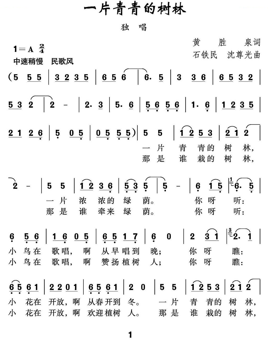 一片青青的树林