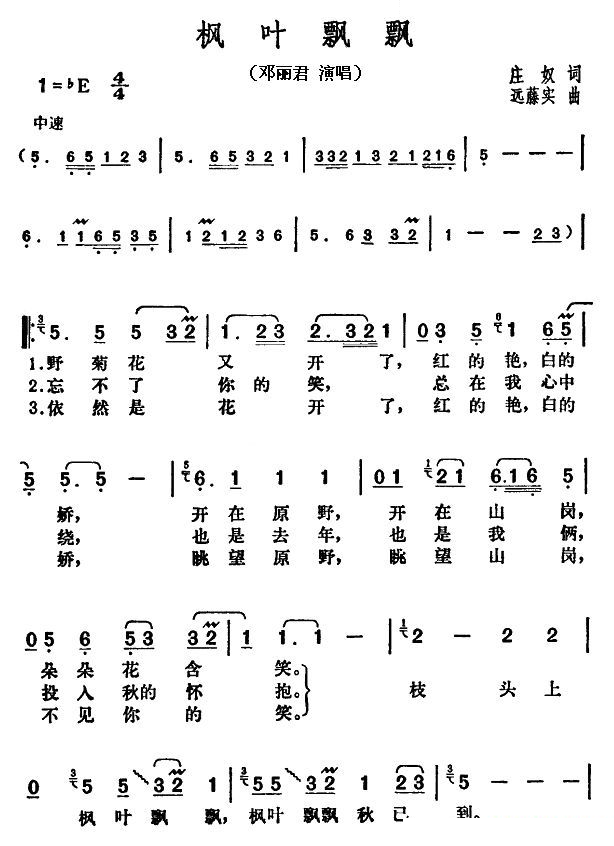 枫叶飘飘 