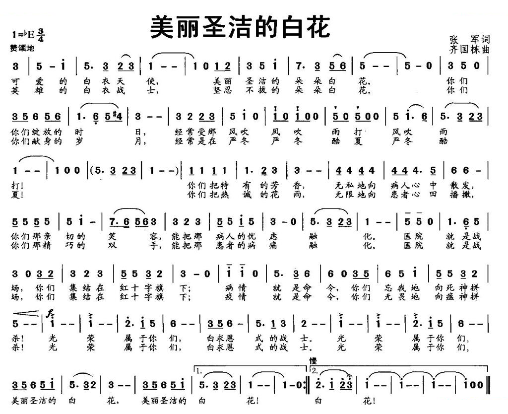 美丽圣洁的白花
