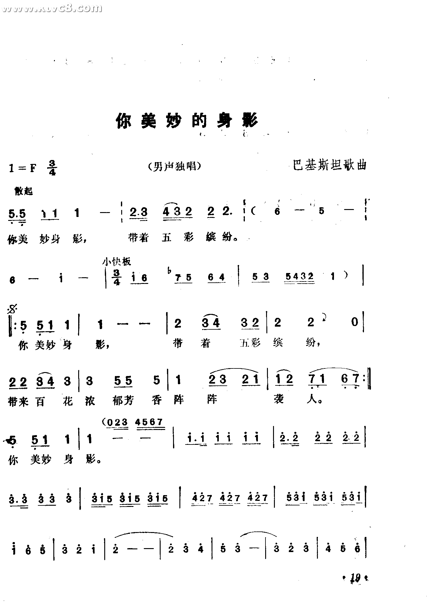 你美妙的身影