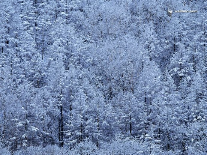 京歌--沁园春.雪