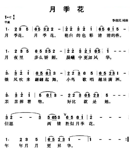 月季花