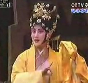 樊姬夫人--纤纤手捧血书微微抖颤