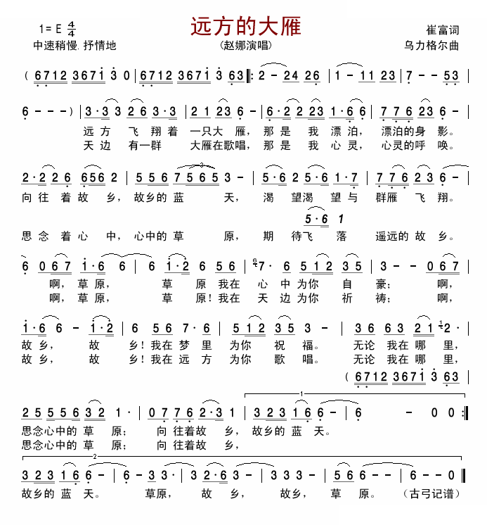 远方的大雁（赵娜）