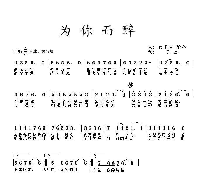 为你而醉