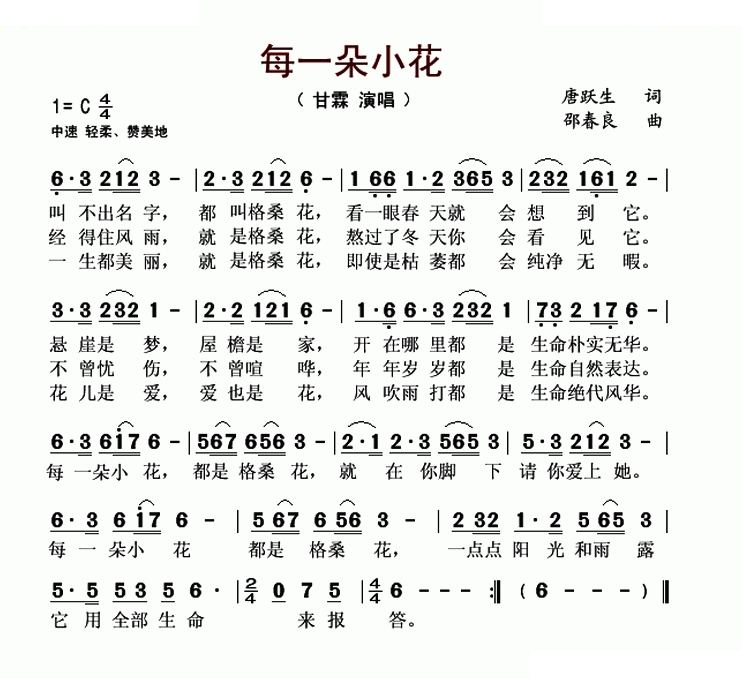 每一朵小花