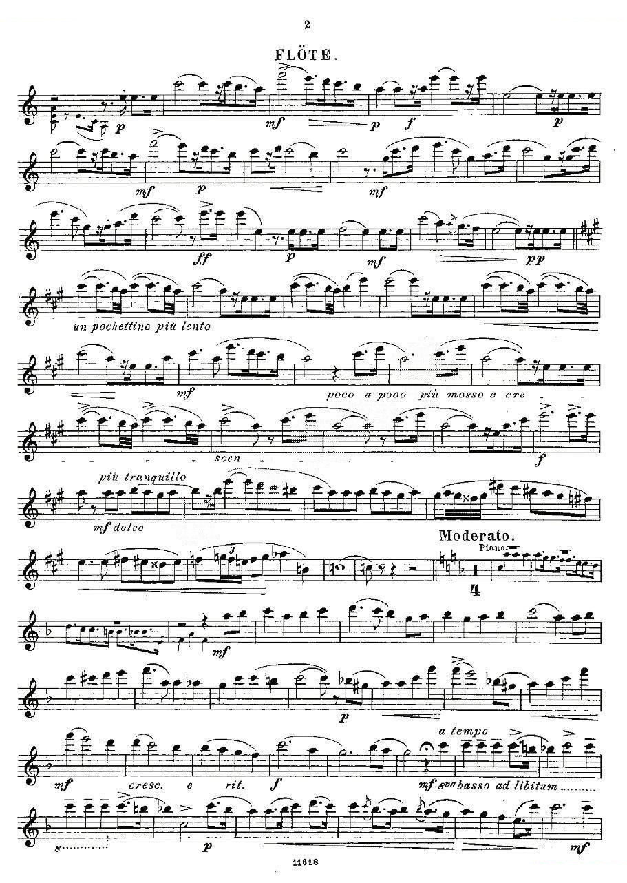 Opern-Transcriptionen.Op.45-3 笛萧谱