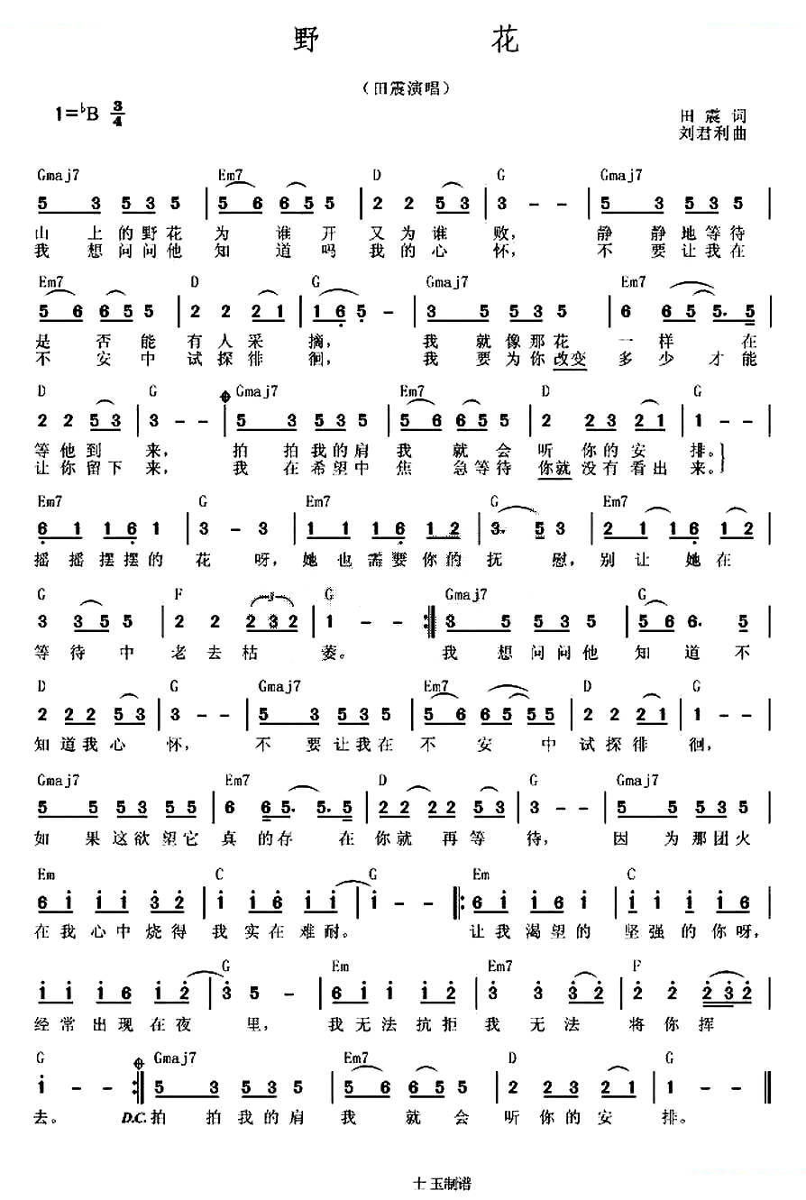 野花（田震词 刘利君曲）