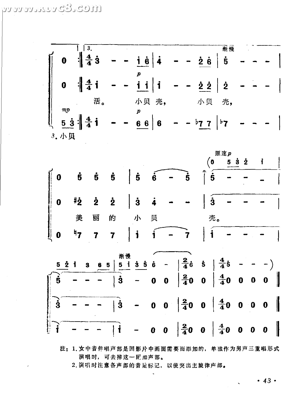 小贝壳