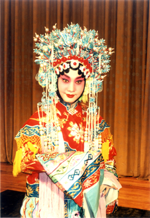 状元媒--到此时顾不得抛头露面