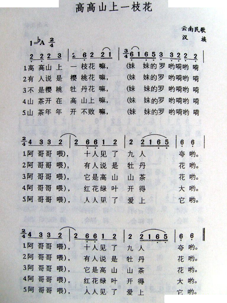 高高山上一枝花