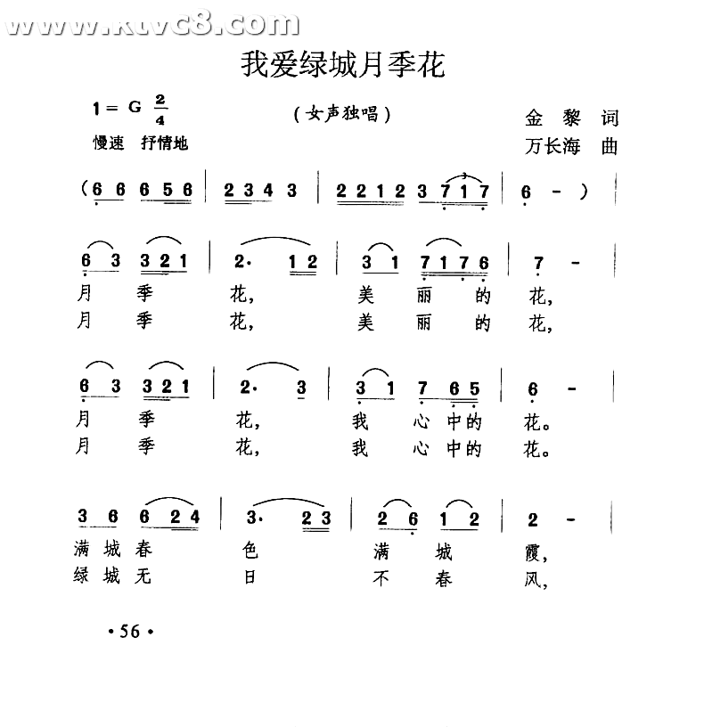 我爱绿城月季花
